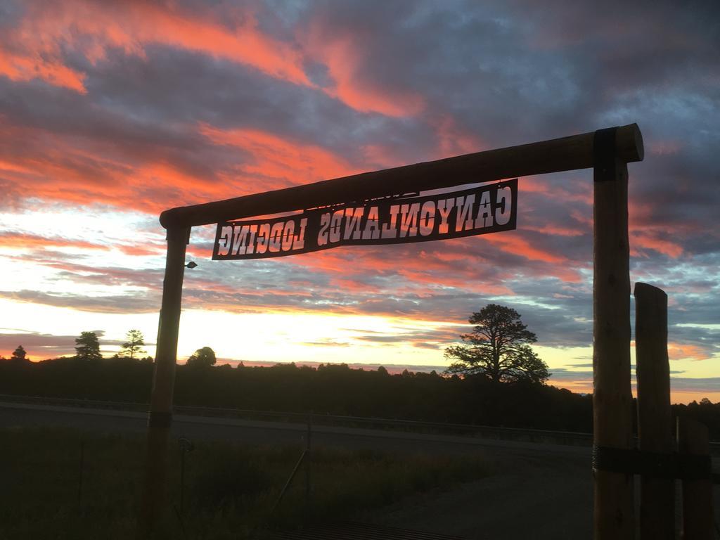 Lupine Cabin, Glamour Camping, Stunning Skies And Sunrise Views Монтичело Екстериор снимка